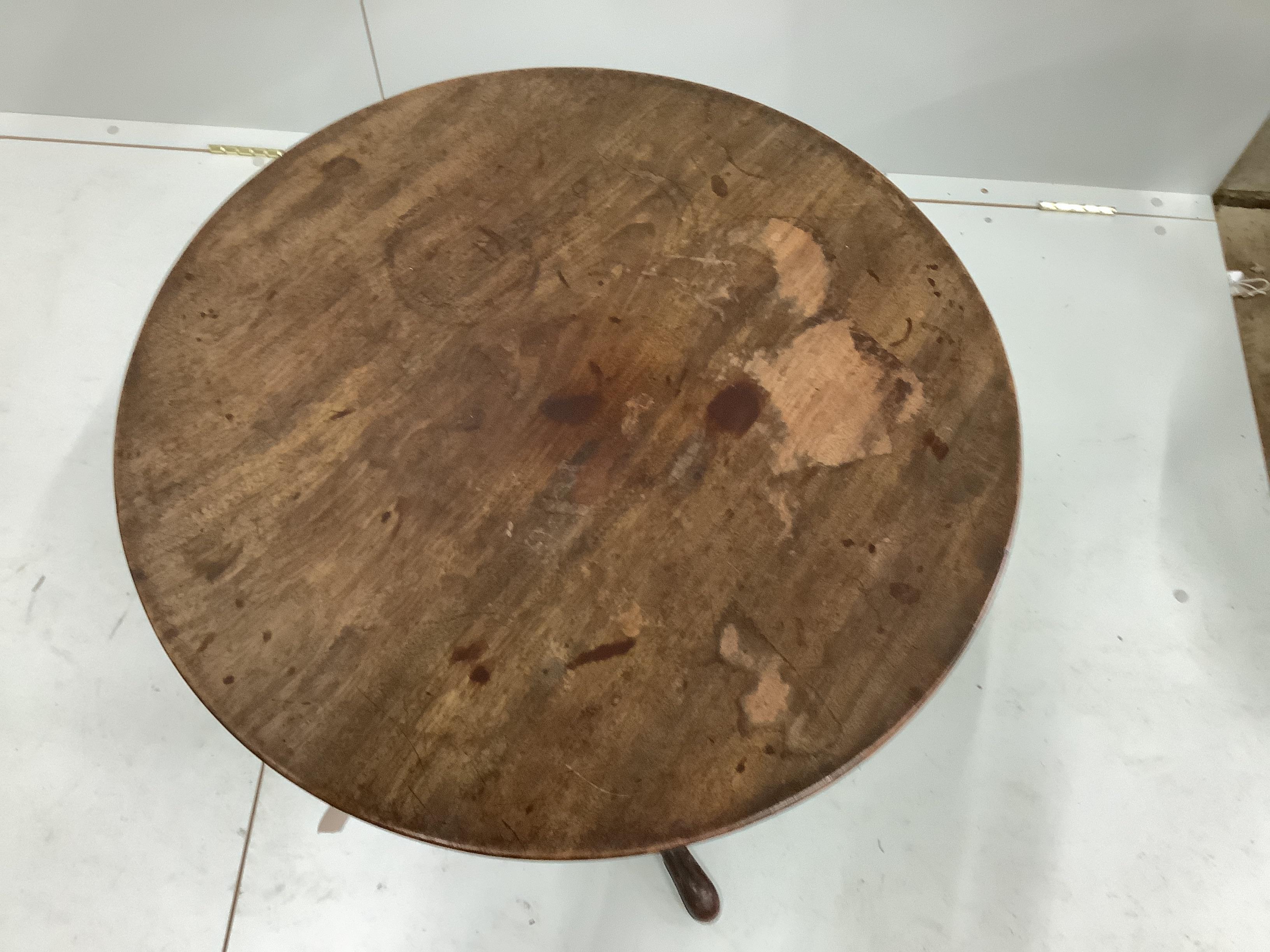 A George III circular mahogany tripod wine table, diameter 54cm, height 71cm